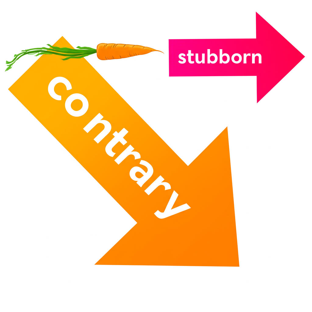 contrary 作為形容詞描繪衝突與倔強概念的插圖